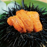 Kuromon Torepichi-Ichiba Minami kuromon Branch_Large Sea Urchin