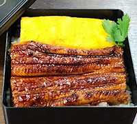  Unagi Tamadon 