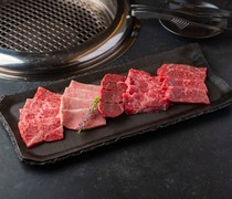 Shinsaibashi Yakiniku Sin_Sin's Special Assortment - If you are lost in the variety of menu items, this is the one for you!