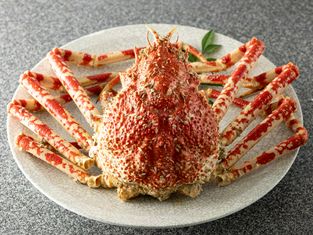 NOICHI食堂