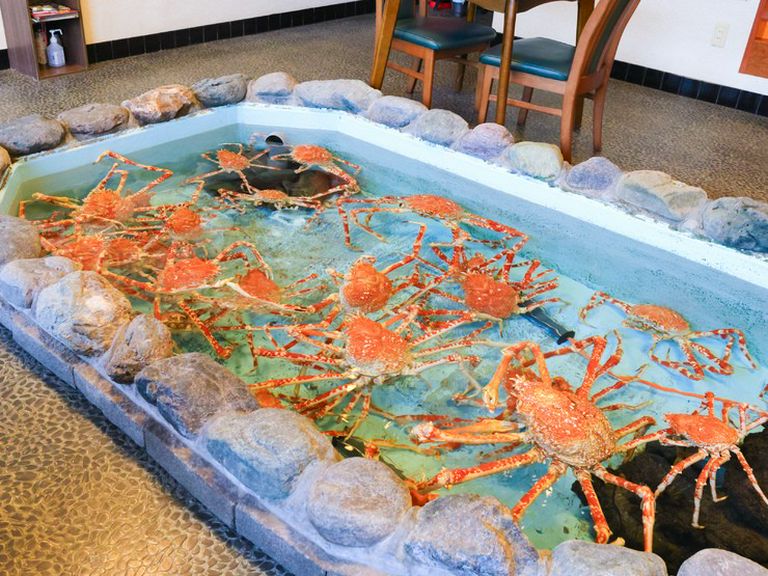 Sakanaya Uosei Reservation in Numazu/Seafood - SAVOR JAPAN