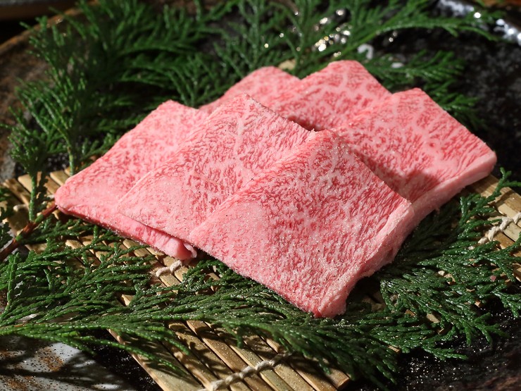 菜肴