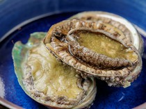 MARCO_Abalone - High-quality fresh abalone from Miyagi and Iwate