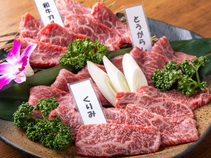 菜肴