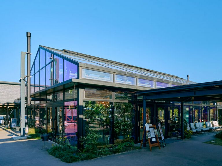 Outside view