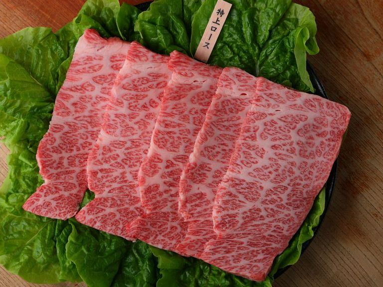 菜肴