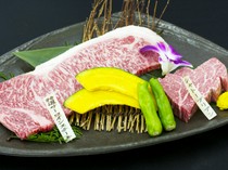  마쓰자카규 극성 260g 