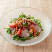  가시의 카르 파치 오 