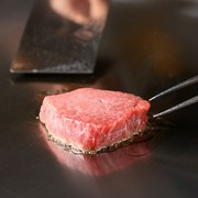 Kobe Teppan Steak Iwasaki_[Carefully Selected] Kobe Beef Fillet