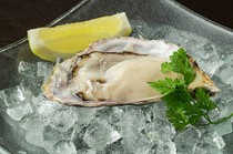 肉和鱼和牡蛎 OYSTER Bar＆Bistro 魚秀 ～UOHIDE～ 涩谷樱丘店_[牡蛎] -7种随时都有- 产地每天都在变化。