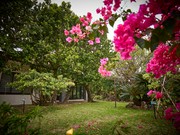 Outside view