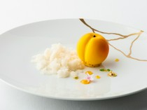 Le jardin fukui_Fukui Ume Plum and Rosemary Granité - Enjoy the beauty of each season. 