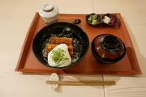 Seiryu Unagi Tsukishima Todai Akamon-mae Branch_Unatoro rice bowl set meal