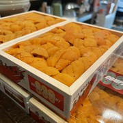 #uni seafood_北海道直送生海胆刺身（1盒/150g）