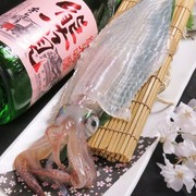 Motsunabe Nagamasa Chikushiguchi Branch_Yobuko spear squid live sashimi market price