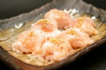 bò cánh cứng bò (ruột già)