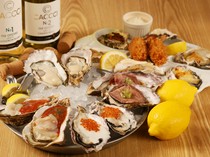  Oyster set 16 pieces 