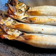  4 smelt 