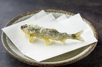  Omakase 5 items - Enjoy tempura more casually. 