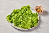  Lettuce 