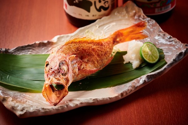 菜肴