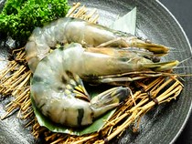  shrimp 