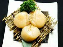  Scallops 
