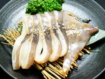  squid 