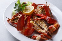 IL LUPINO PRIME TOKYO_ Live jumbo lobster grilled