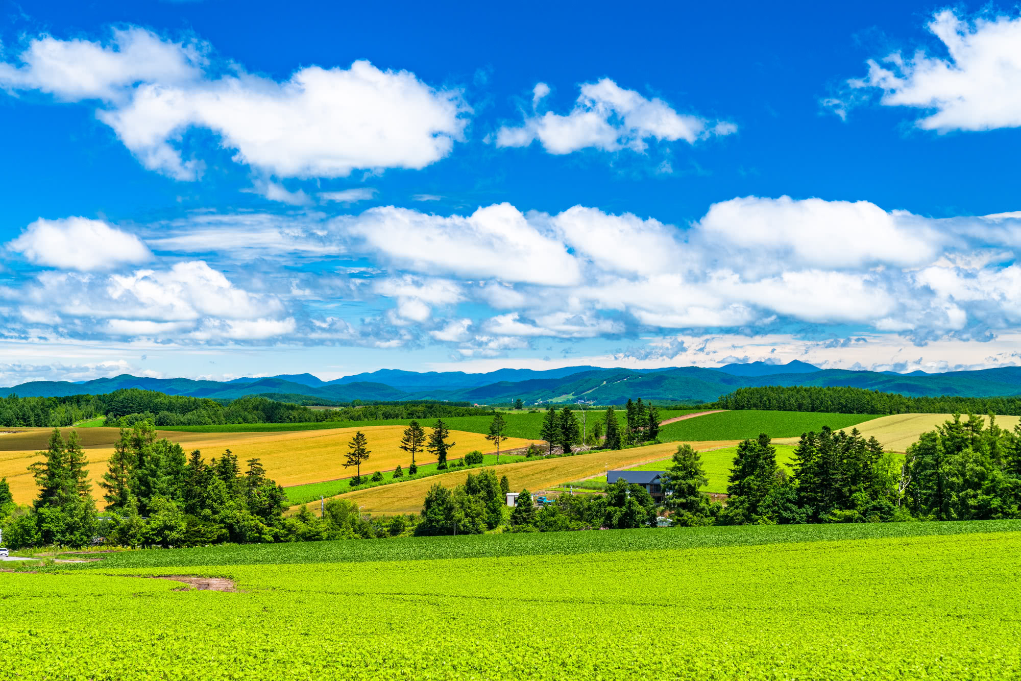 3. Hill Town of Biei