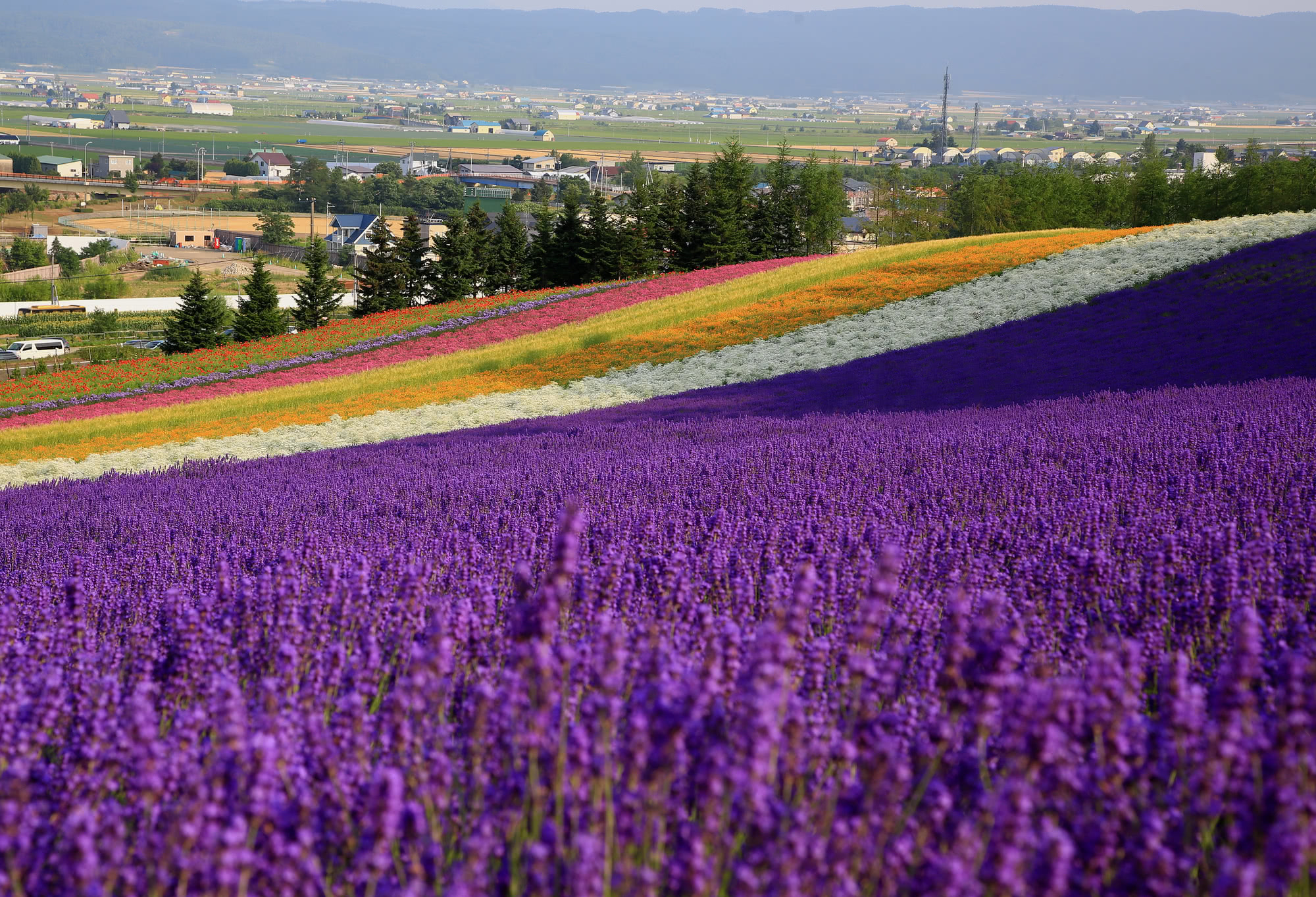 5. Farm Tomita