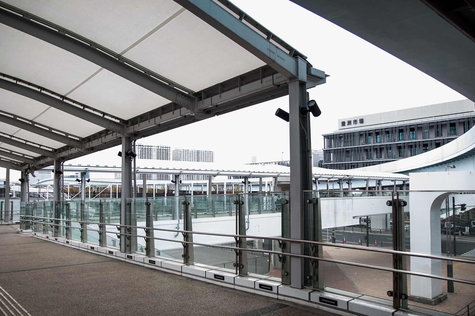 從築地轉移！全新豐洲市場的景點和美食地圖