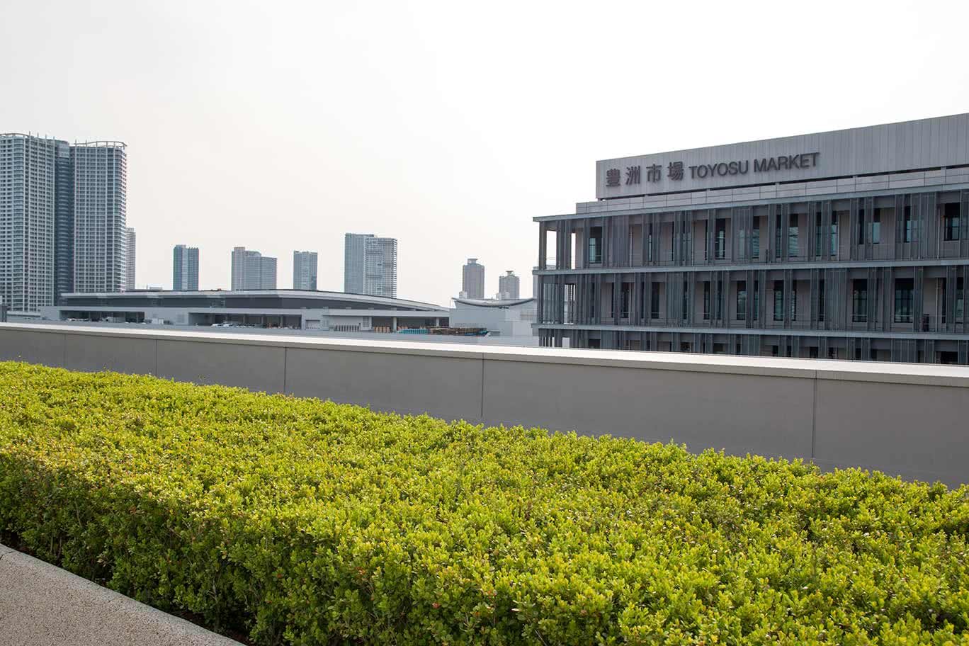 4.豐洲市場的景點（3）　屋頂綠化廣場