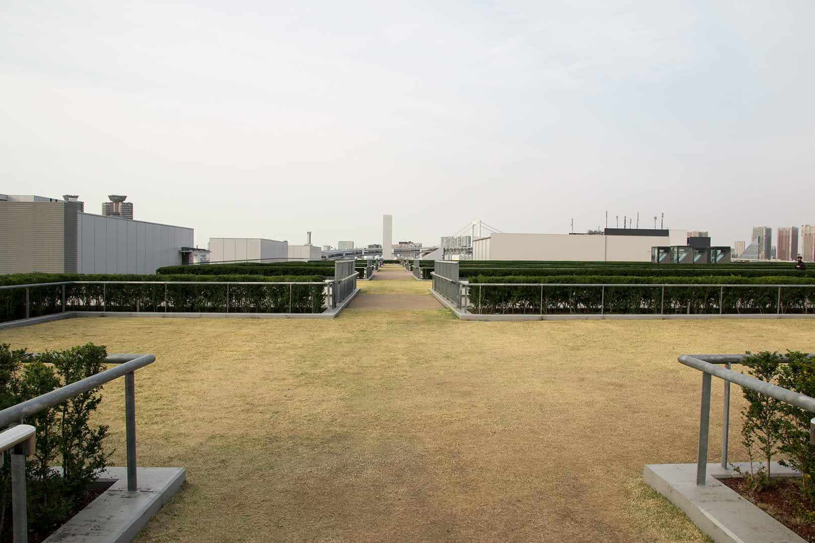 從築地轉移！全新豐洲市場的景點和美食地圖