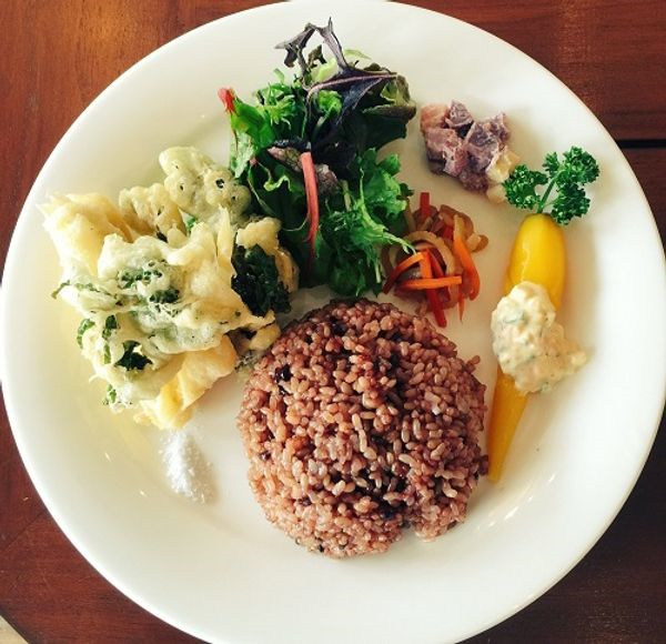 素食來襲！日本19家美味素食餐廳大集結！