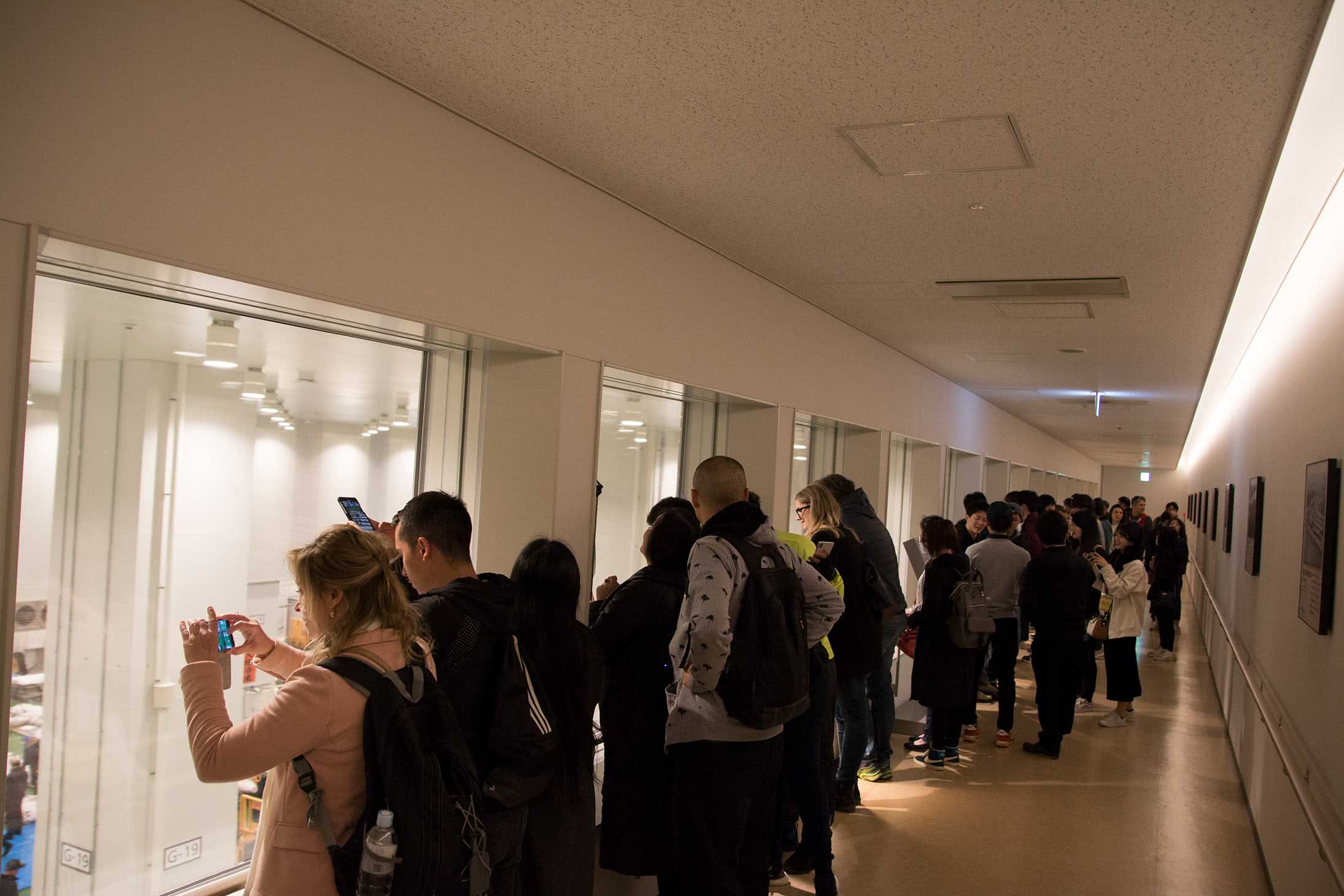 Recommended Restaurants Near Toyosu Market - The New Location of Tsukiji Fish Market