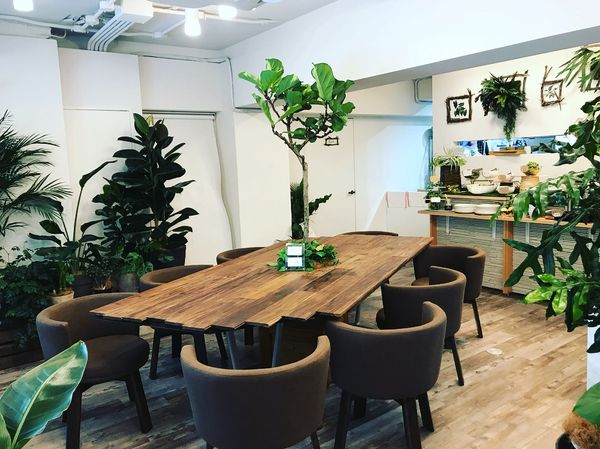 20 Restaurants in Tokyo that can be Enjoyed by Vegan and Vegetarian