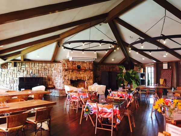 大阪必吃美味素食餐廳17家大放送!素食者的日本美食之旅!