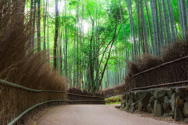 【16:00】嵐山地區