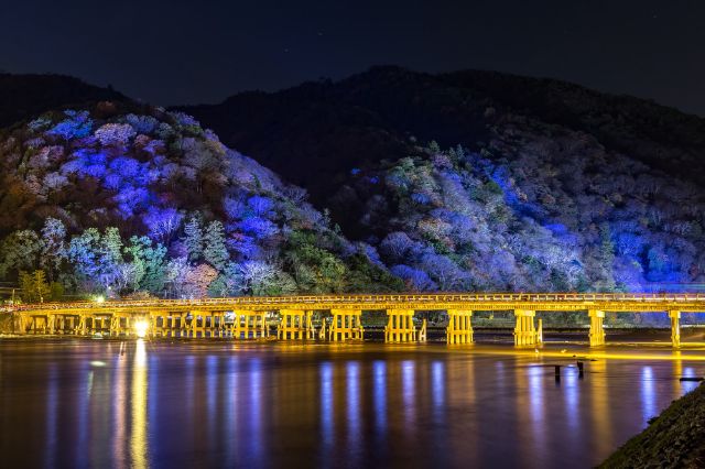 住在京都的澳洲人的京都一日美食旅遊指南