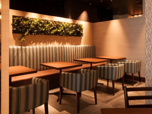 新設施陸續登場，娛樂性十足！嚴選10間目前最具話題的澀谷站周邊強力推薦餐廳