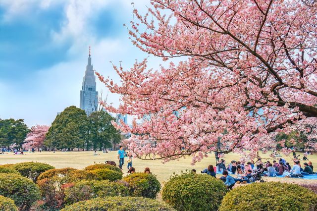 Shinjuku Gyoen