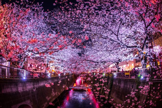 Meguro River