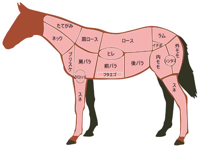 馬肉這樣吃最棒！好吃的馬肉料理與部位 