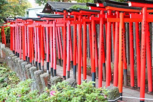Nezu Shrine