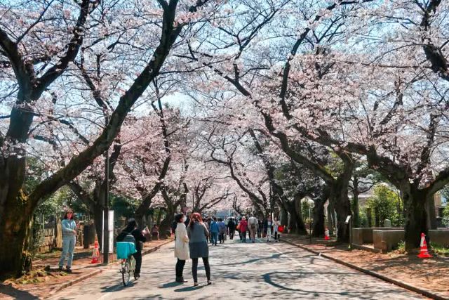 谷根千：東京老街區和頂級日本餐廳指南