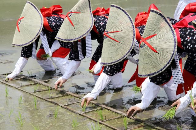 How Long Have Japanese People Eaten Rice?
