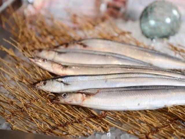 浪花爐邊八角 大名古屋大廈店