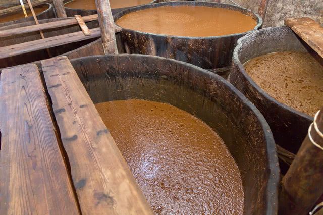 黃豆：日本料理的最重要食材