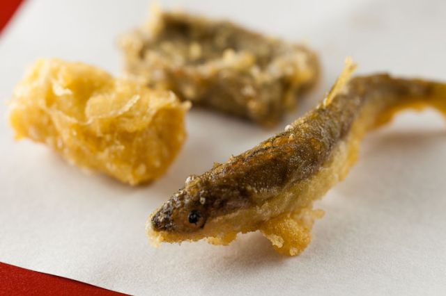 樱花浪漫的4月必打卡的这11家餐厅,你吃过了吗?